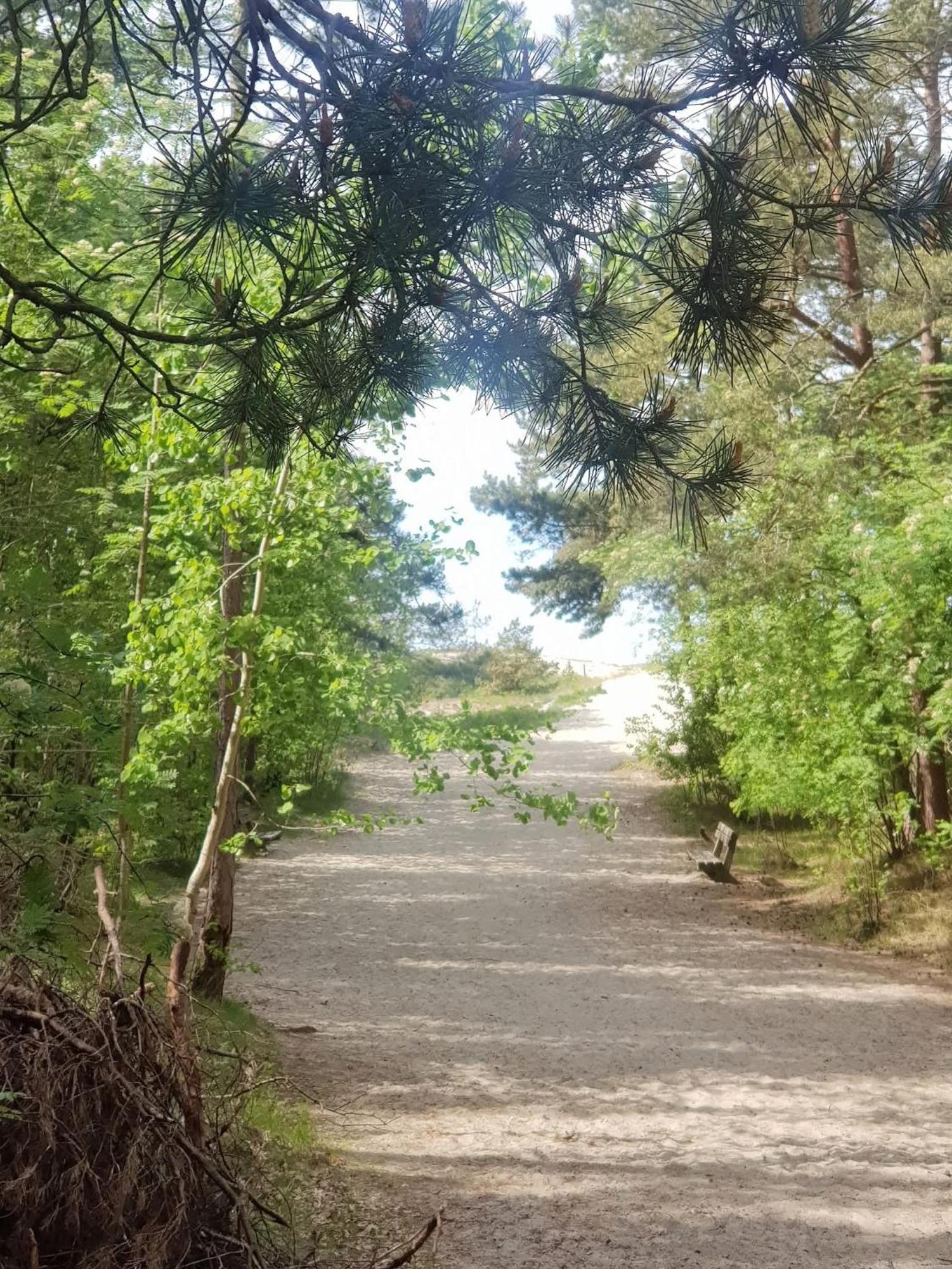 Pokoje Goscinne Nord Krynica Morska Exterior foto